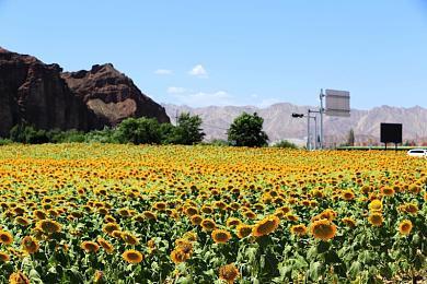 收藏专用 《死亡鬼屋：重制版》推出实体“限死版”