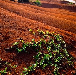 Bungie《马拉松》重启在2025年前不会有太多消息