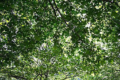 《星刃》现可加入愿望单 油腻师姐的末世冒险